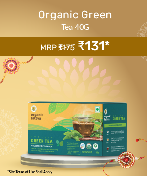 Organic Green Tea (20 Teabags) 40g