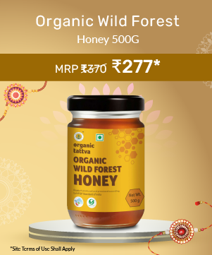 Organic Wild Forest Honey 500g